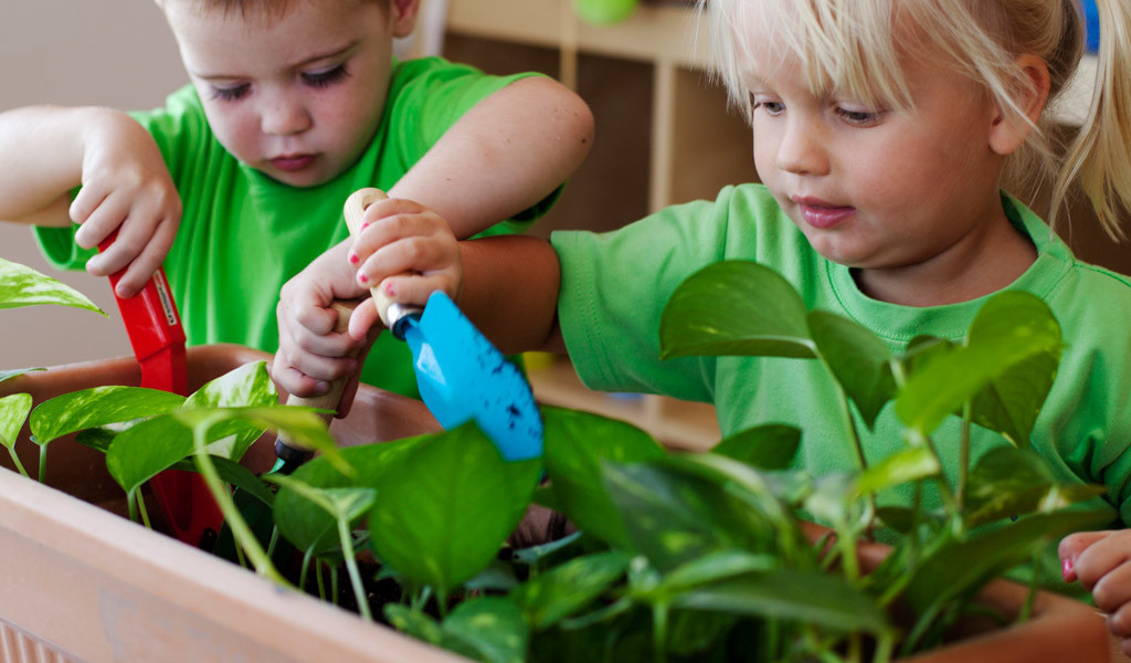 Home Grown Eco Nursery Dubai