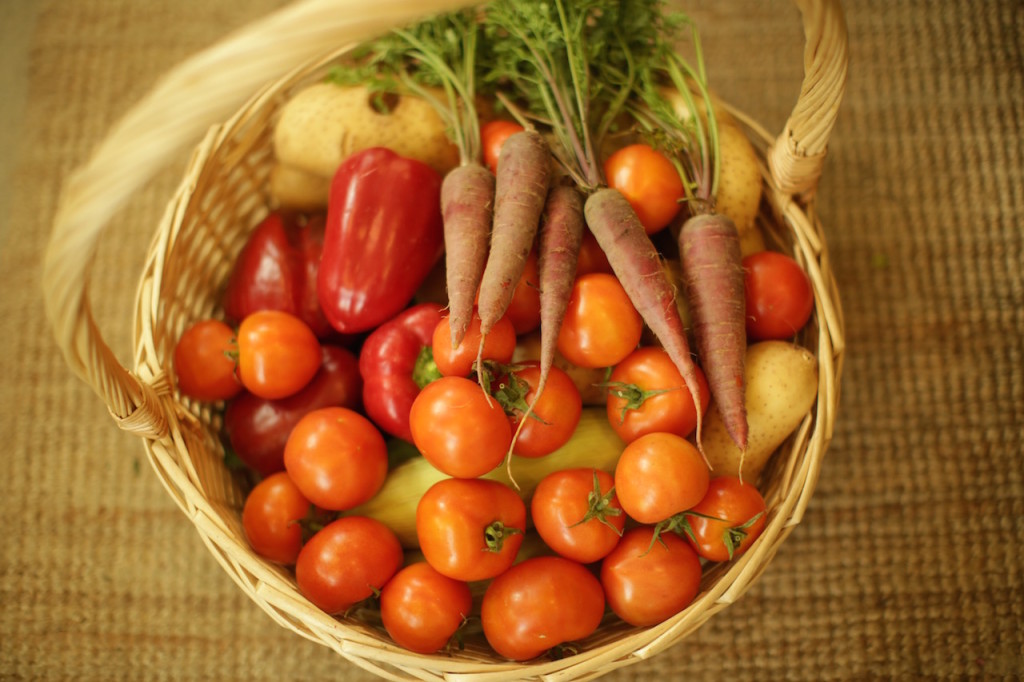 Greenheart organic farm Elena Kinane2